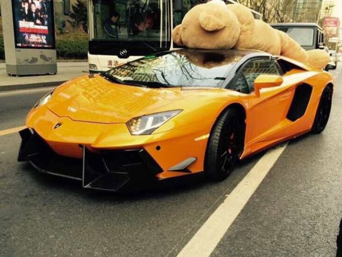 lamborghini teddy bear